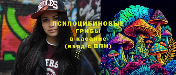 хмурый Алексеевка