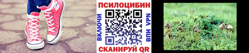 Галлюциногенные грибы GOLDEN TEACHER  Дорогобуж 